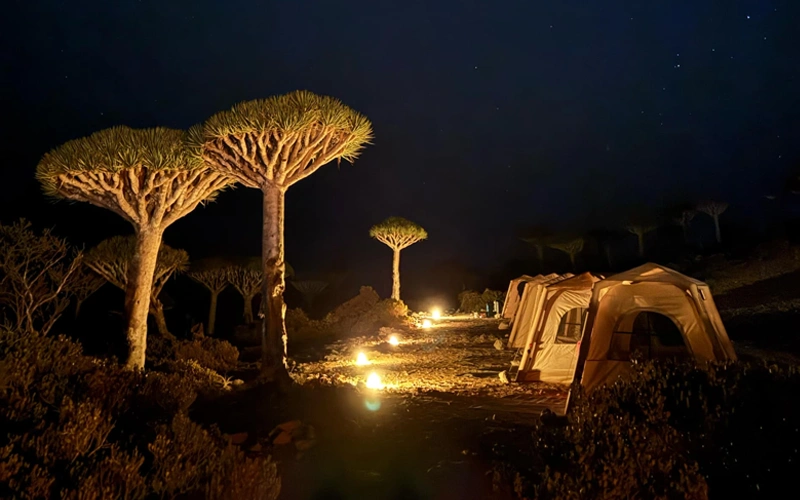 Socotra tours