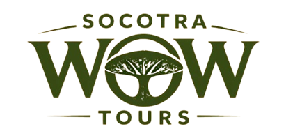 Socotra Wow Tours